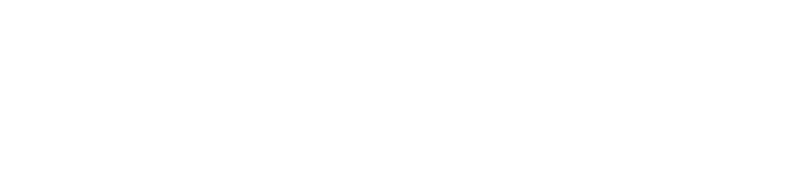 mapei akademia logo